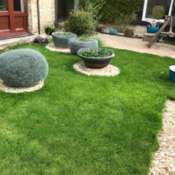 Techniques de taille pour maintenir un jardin esthétique et en bonne santé Carpentras